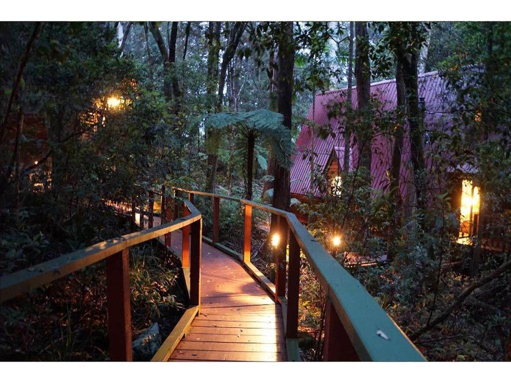 The Mouses House Rainforest Retreat Springbrook Exterior photo