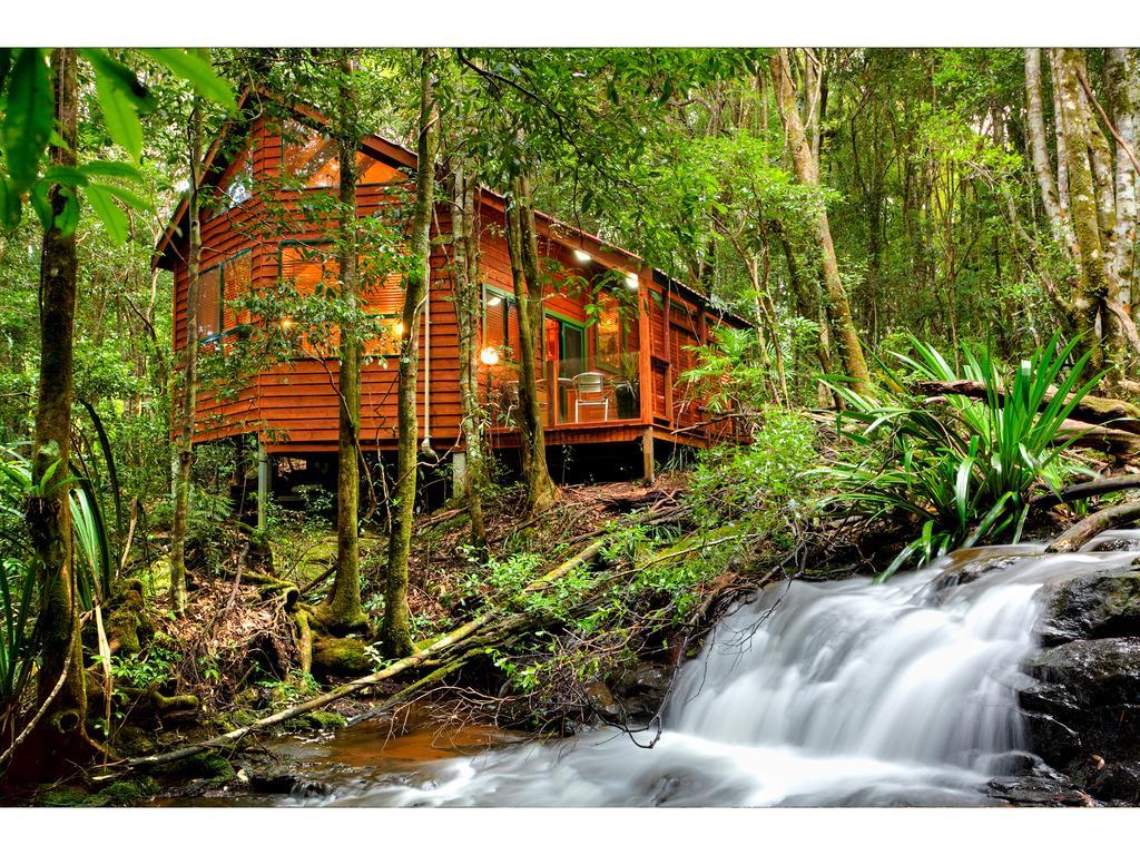 The Mouses House Rainforest Retreat Springbrook Exterior photo