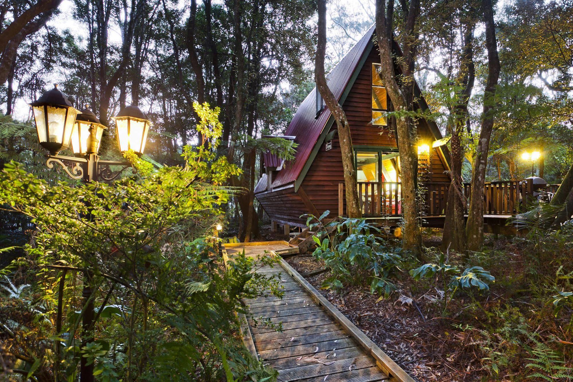 The Mouses House Rainforest Retreat Springbrook Exterior photo