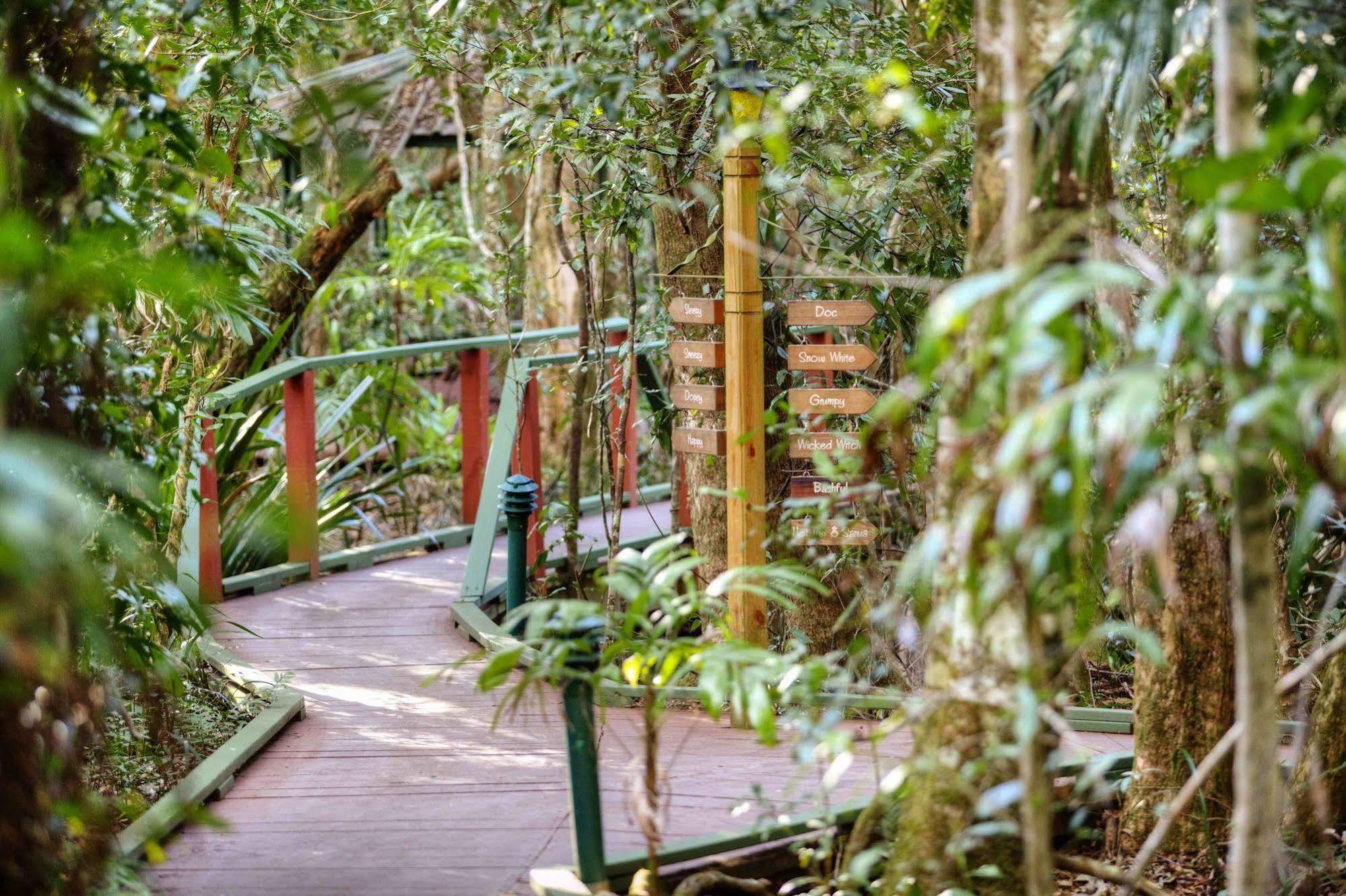 The Mouses House Rainforest Retreat Springbrook Exterior photo