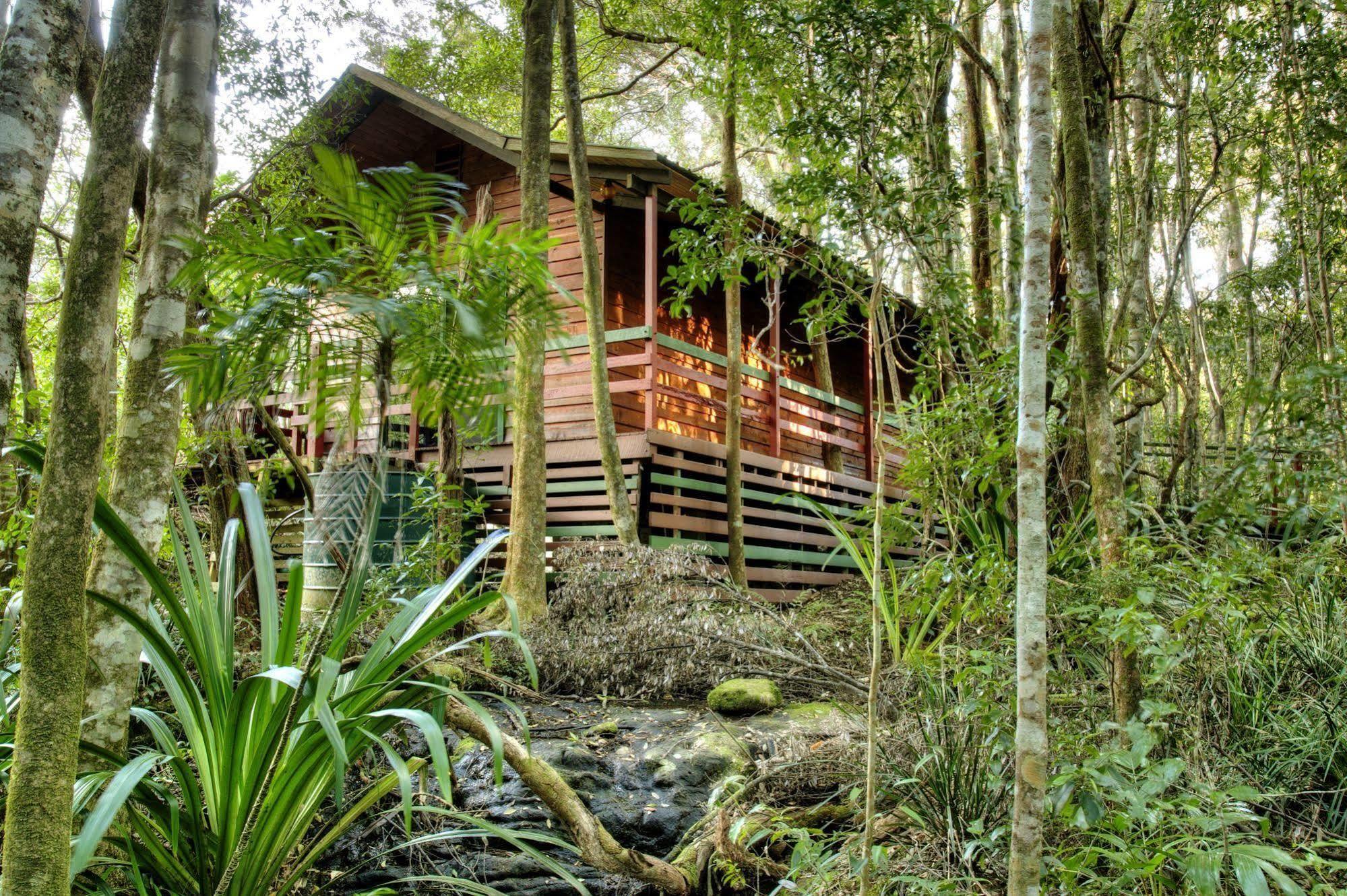 The Mouses House Rainforest Retreat Springbrook Exterior photo