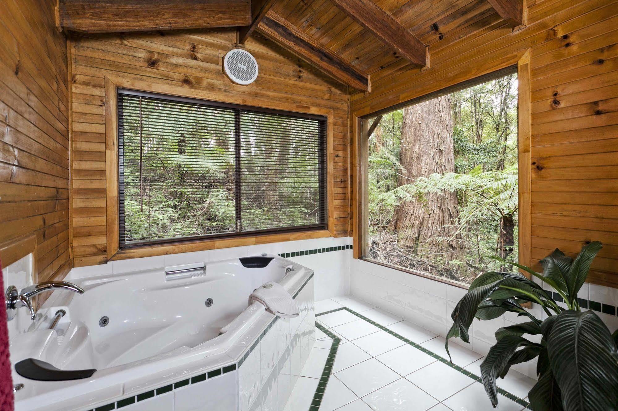 The Mouses House Rainforest Retreat Springbrook Exterior photo
