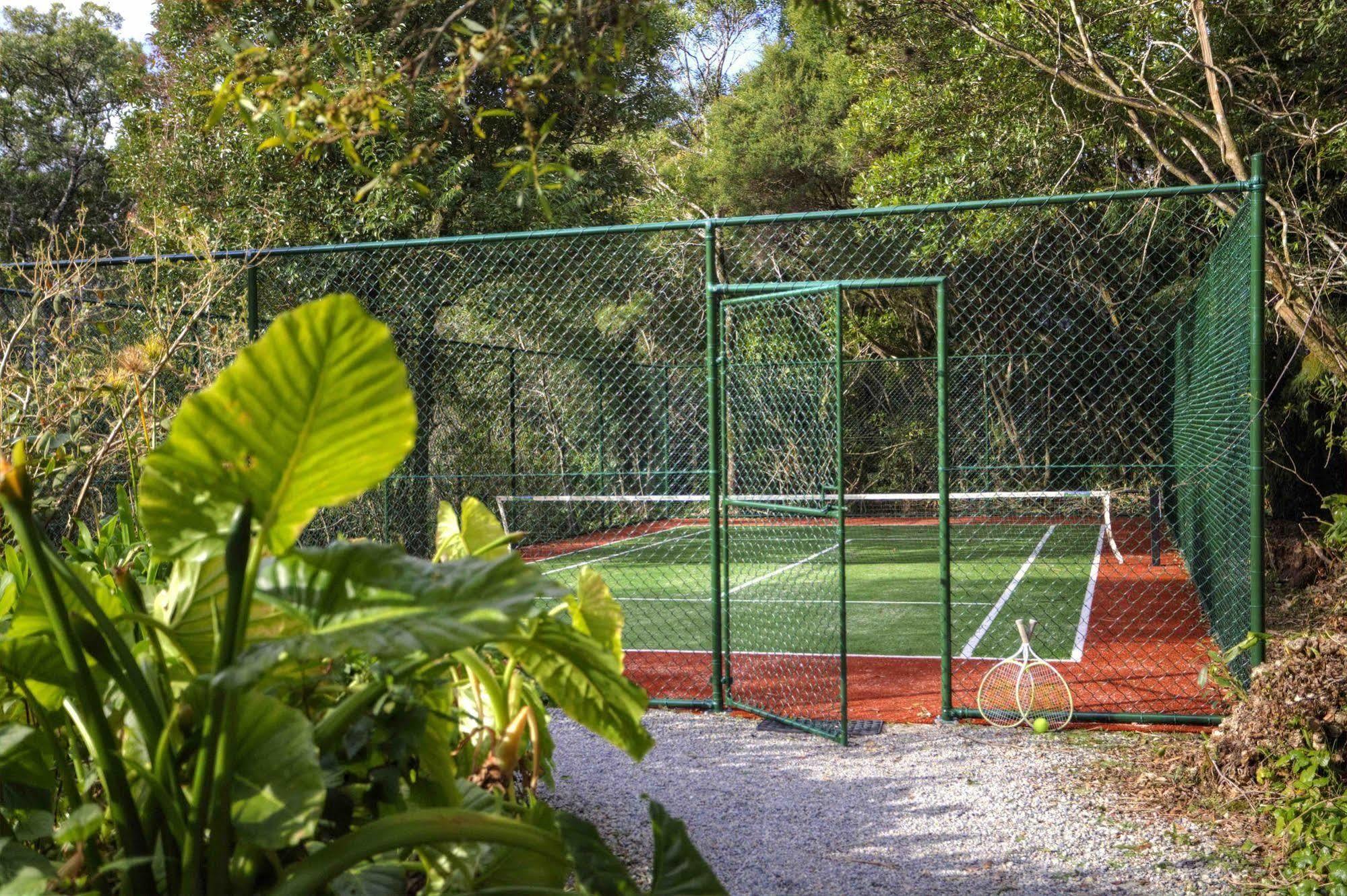 The Mouses House Rainforest Retreat Springbrook Exterior photo